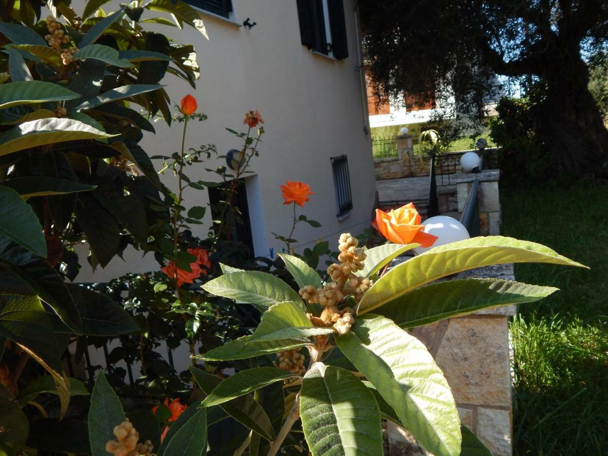 Villa Dimitra Сивота Экстерьер фото